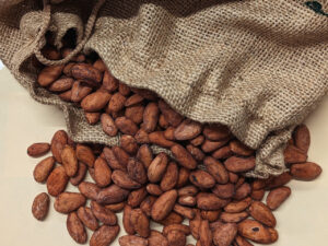 premium Cocoa Beans
