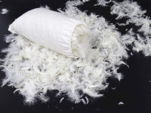 Premium Goose Feathers