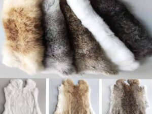 Premium Rabbit Skin