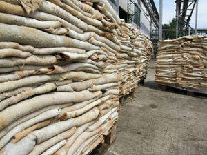 Premium Donkey Hides